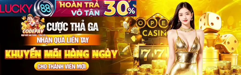 Quy trình đăng ký đại lý WinVND