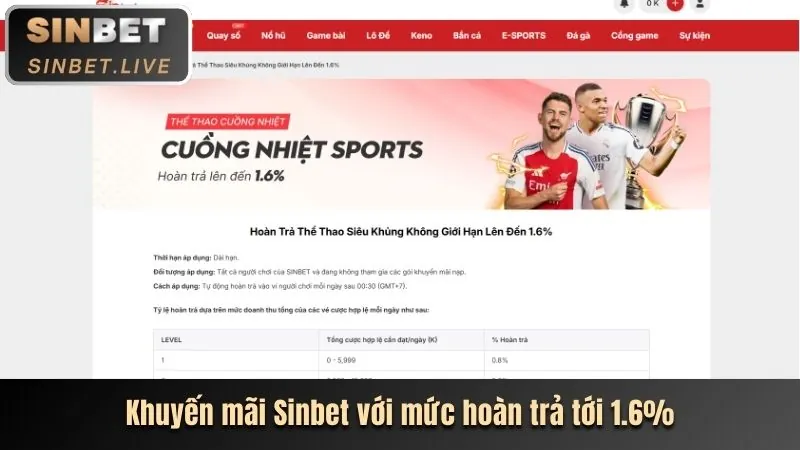 Giao diện hệ thống quản lý đại lý và tài liệu marketing